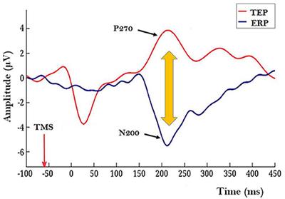 On a Strategy of Advancement of TMS Based Methods for Studying NCC